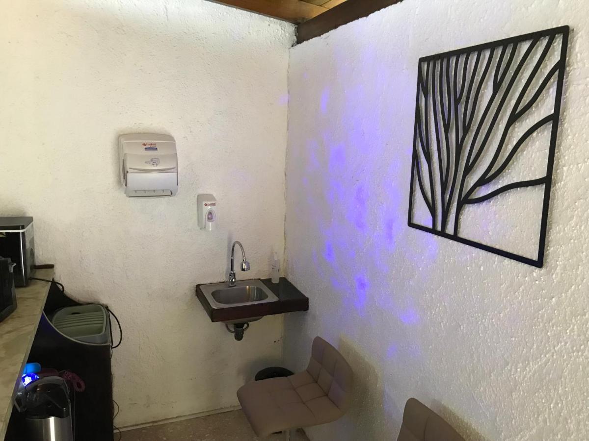 Corazon Sabana Bed and Breakfast Σαν Χοσέ Εξωτερικό φωτογραφία